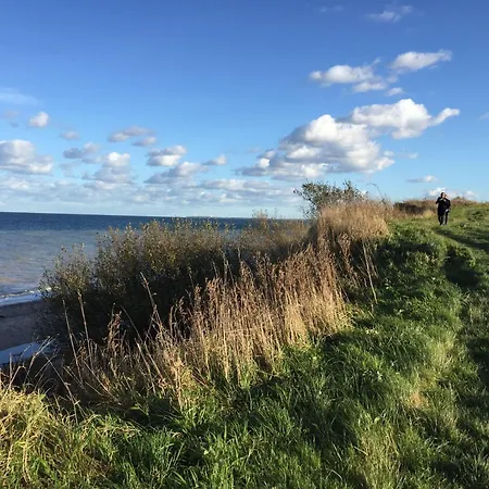 Holiday home Schwedenhaeuschen-am-see-einfach-lagom *
