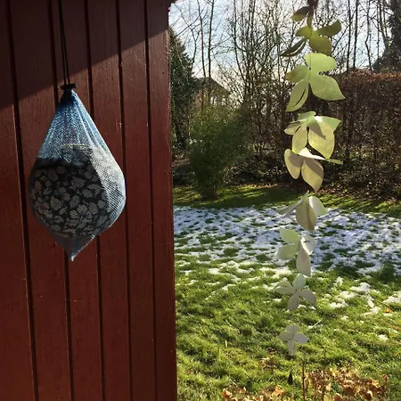 Holiday home Schwedenhaeuschen-am-see-einfach-lagom